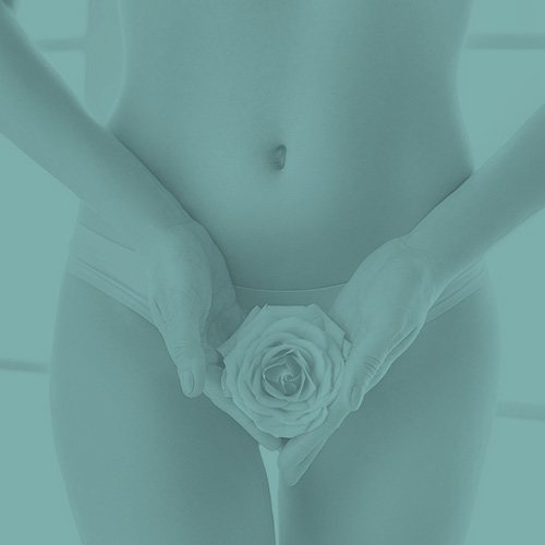 Rejuvenecimiento Vaginal PlasticSkin